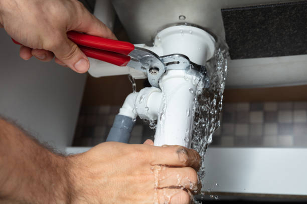 Best Professional water damage repair  in Walnut, CA