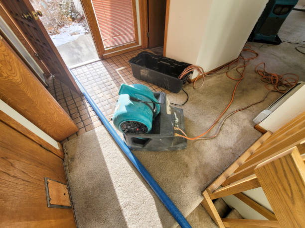 Best Mold removal after water damage  in Walnut, CA