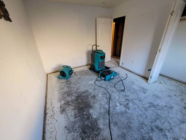 Best Commercial water damage restoration  in Walnut, CA