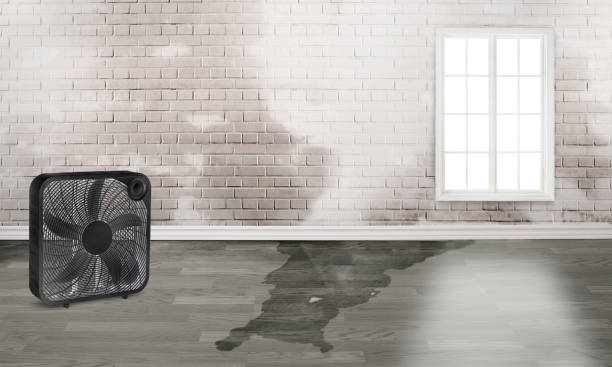 Water damage restoration process in Walnut, CA