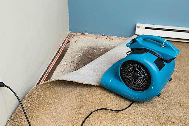 Reliable Walnut, CA Water damage restoration Solutions